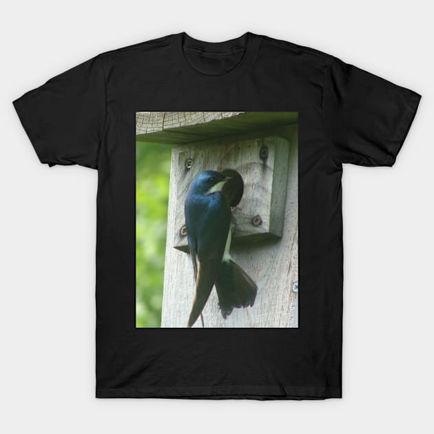 Swallow Bird Checking Out a Birdhouse T-Shirt by saradaboru